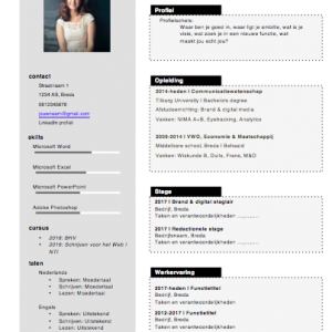CV template Anna Jansen