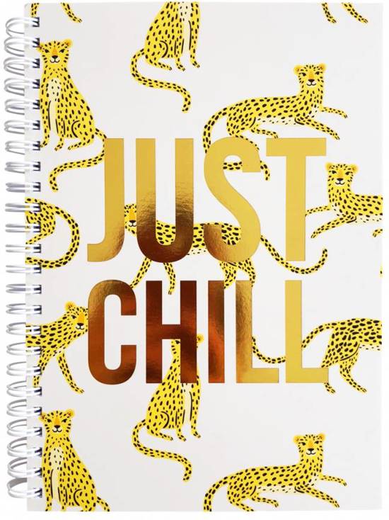 just chill notebook