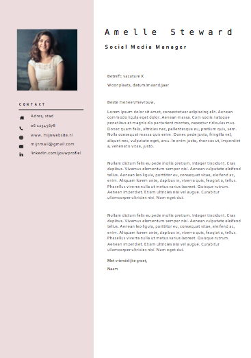 brief template Amelle Steward