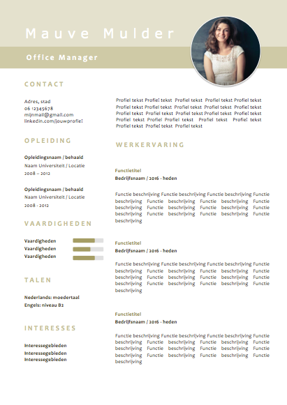 cv template word mauve mulder