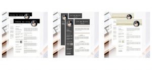 blog house of ambition shop cv templates