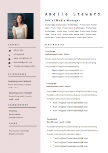 cv template amelle steward