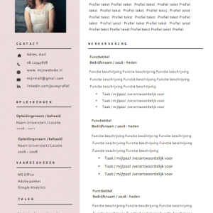 cv template amelle steward