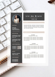 cvtemplate-live-debruin