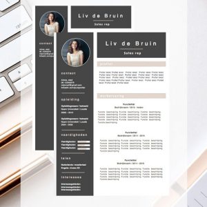 cv-template-live-de-bruin
