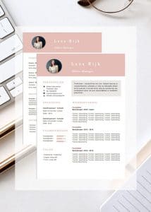 cv-template-lanarijk