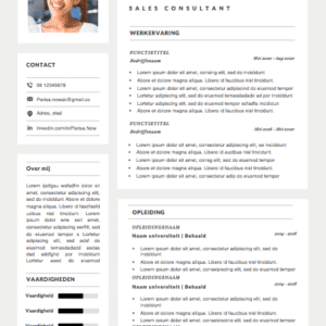 CV-TEMPLATE-PARISA-NOWAK