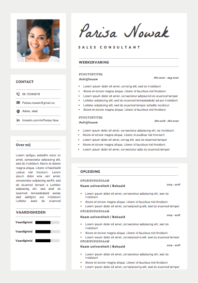 CV-TEMPLATE-PARISA-NOWAK