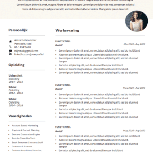 cv-template-jaimy-de-leeuw